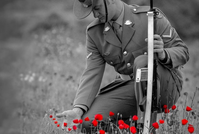 WWII Soldier kneeling down to touch red poppies.