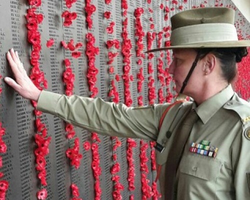 poppies on wall for remembrance